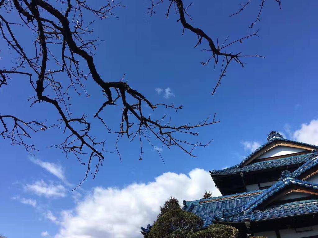 Kougetsu Sanso -- Moon Villa in Tokyo Hachioji Eksteriør billede