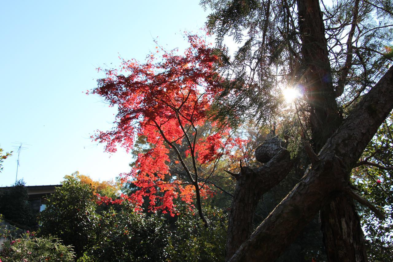 Kougetsu Sanso -- Moon Villa in Tokyo Hachioji Eksteriør billede